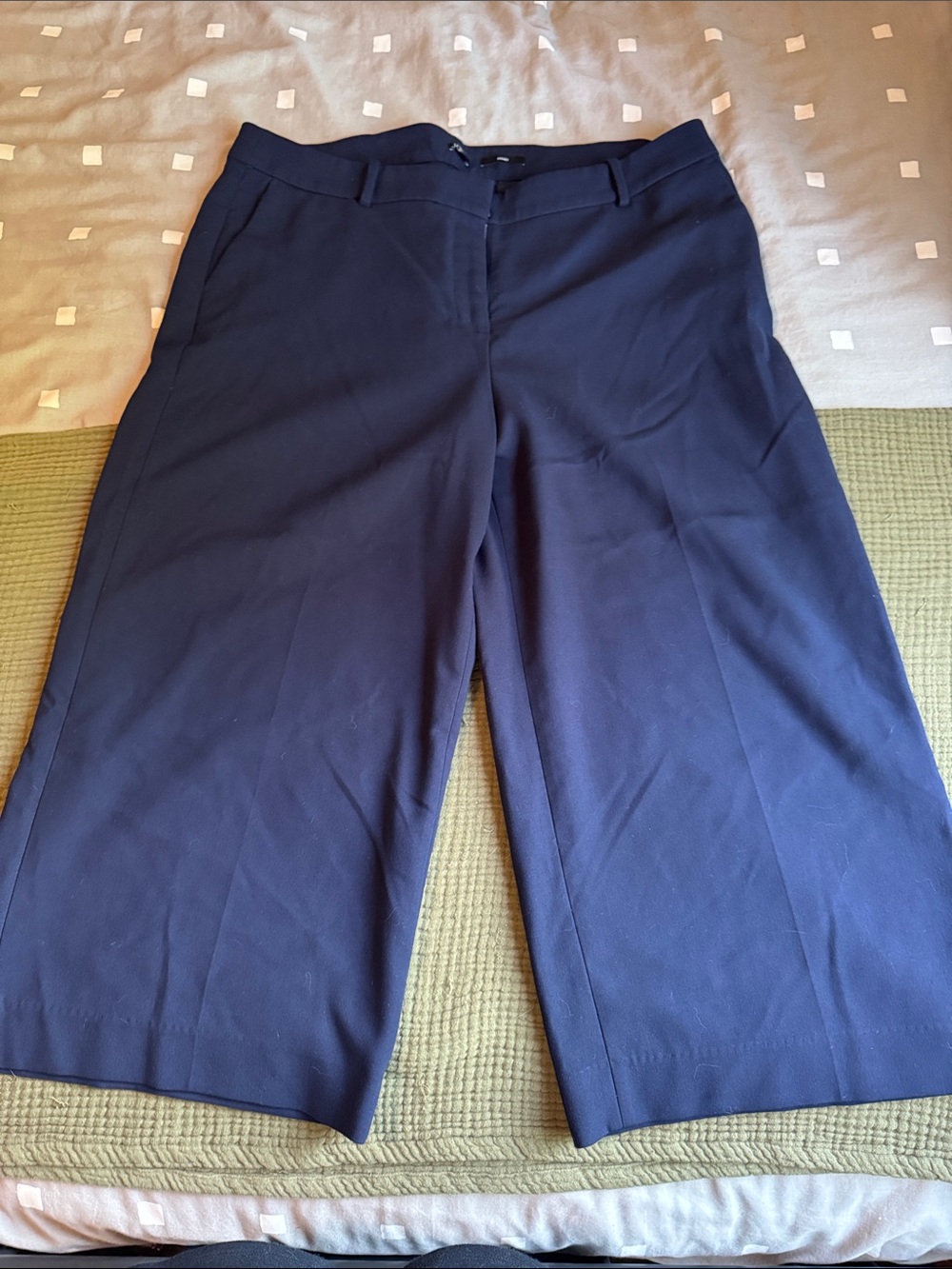 J. Crew Navy Sydney Tailored Dress Pants